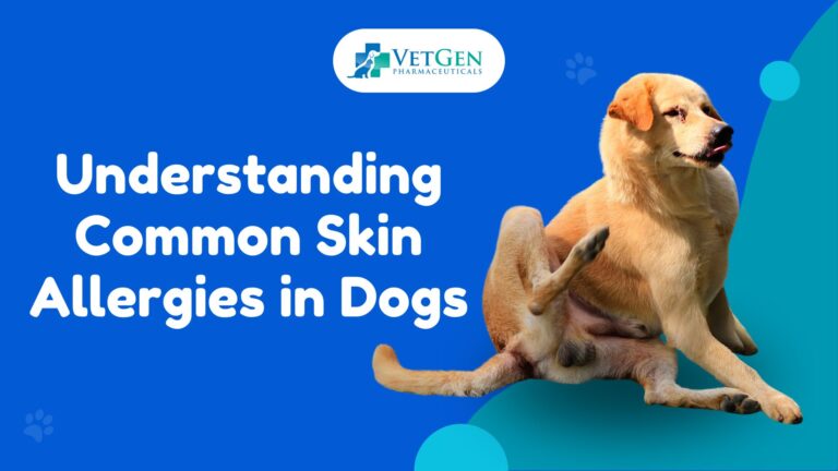 Understanding Common Skin Allergies in Dogs