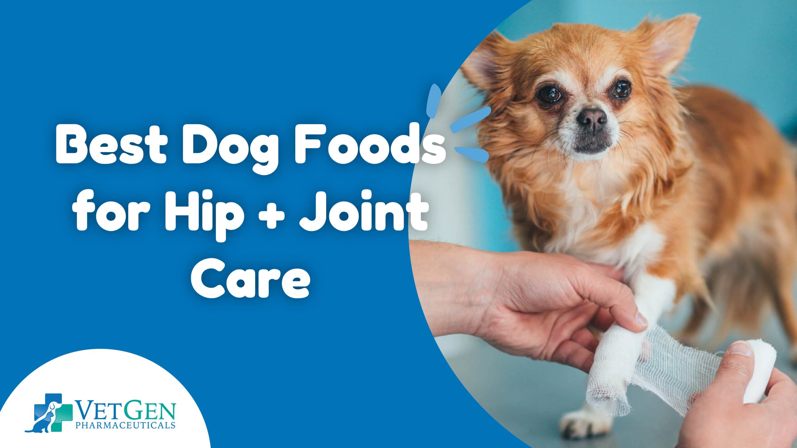 Best Dog Foods for Hip and Joint Care