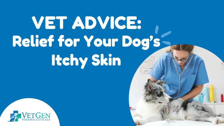 B_Vet Advice Relief for Your Dog’s Itchy Skin