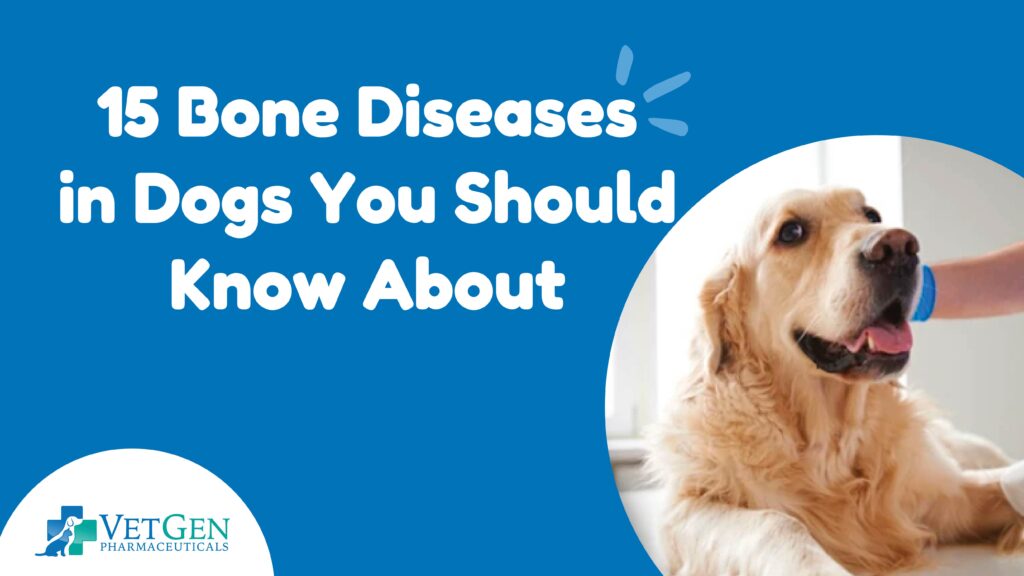 15 Bone Diseases In Dogs You Should Know About