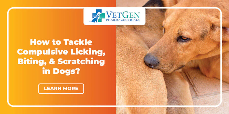How to Tackle Compulsive Licking, Biting, and Scratching in Dogs