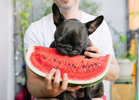 15 Healthiest Human Foods - Watermelon