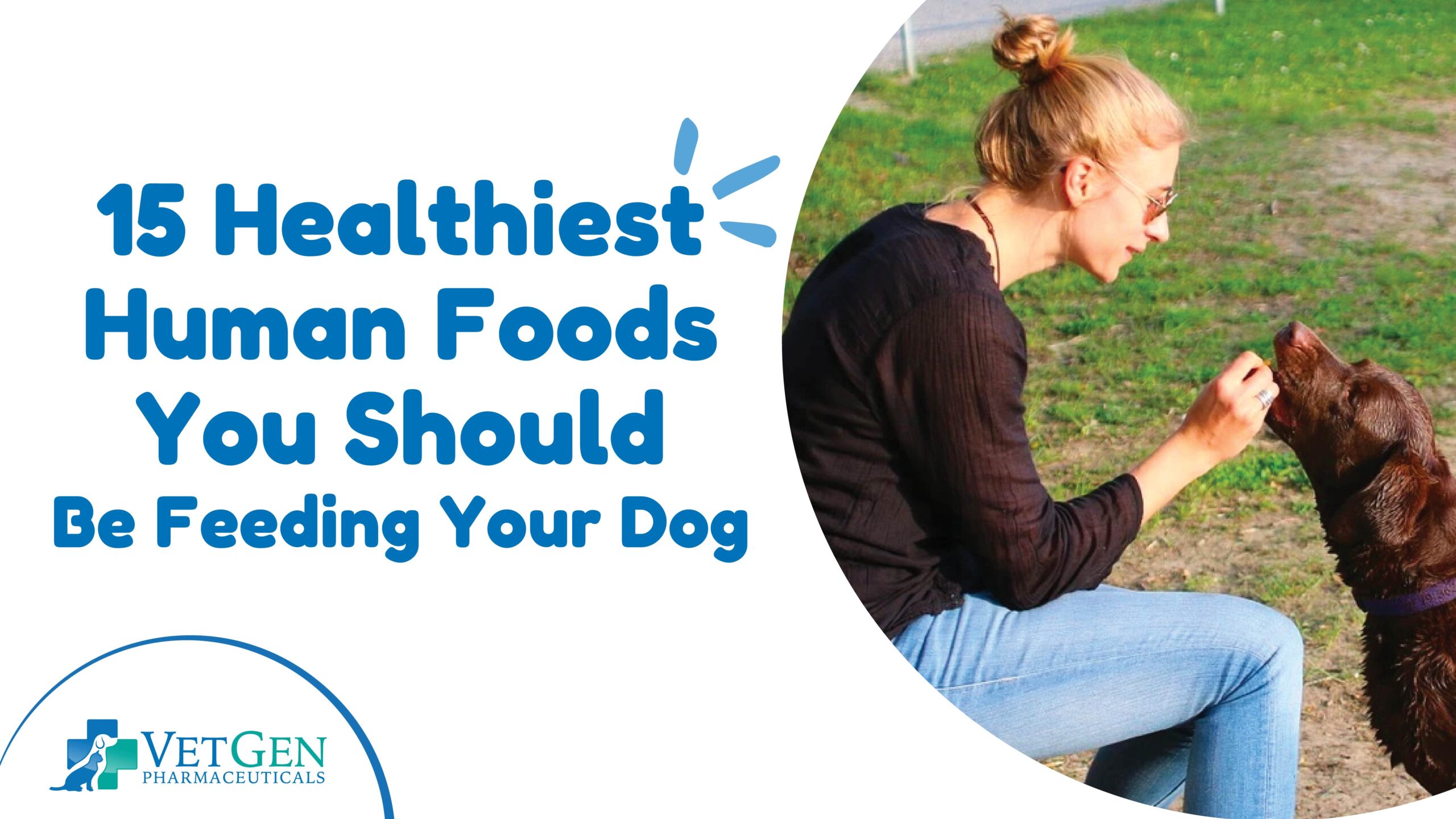 15 Healthiest Human Foods You Should Be Feeding Your Dog
