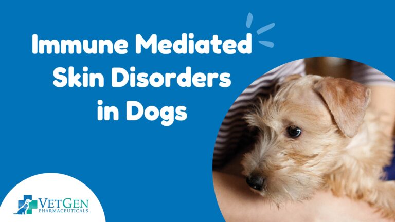 B_Immune Mediated Skin Disorders in Dogs