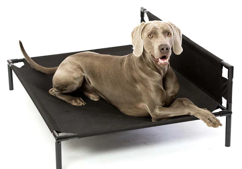 Elevated Beds for dogs