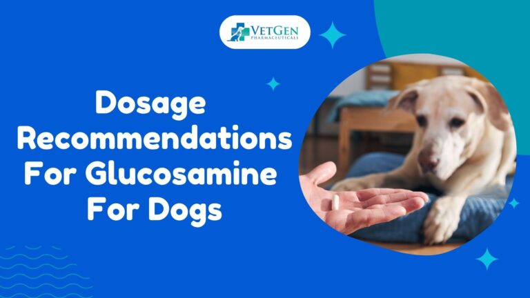 Glucosamine For Dogs — Dosage Recommendations