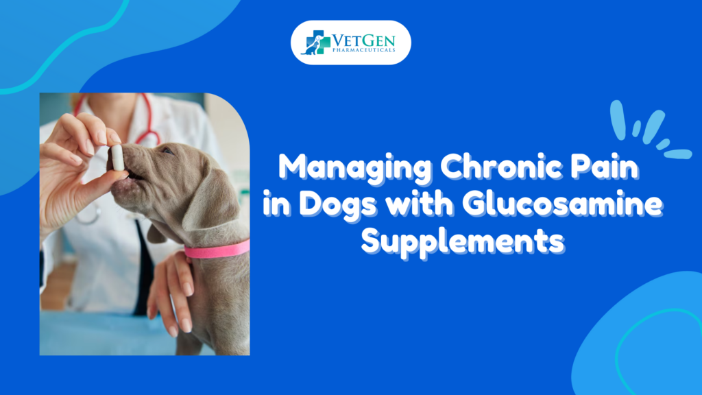 Managing Chronic Pain in Dogs with Glucosamine Supplements