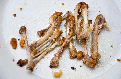 Don’t feed your dog - Cooked Bones