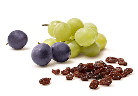 Don’t feed your dog - Grapes or Raisins
