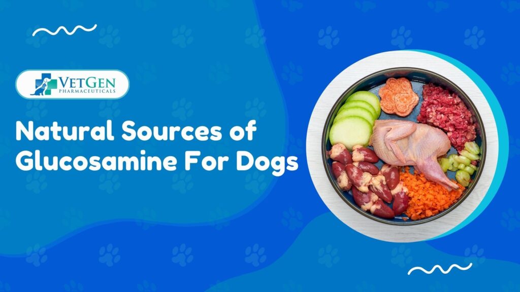 Natural Sources of Glucosamine For Dogs - Debunking Common Misconceptions