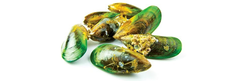 Natural Sources of Glucosamine - Green Lipped Mussels