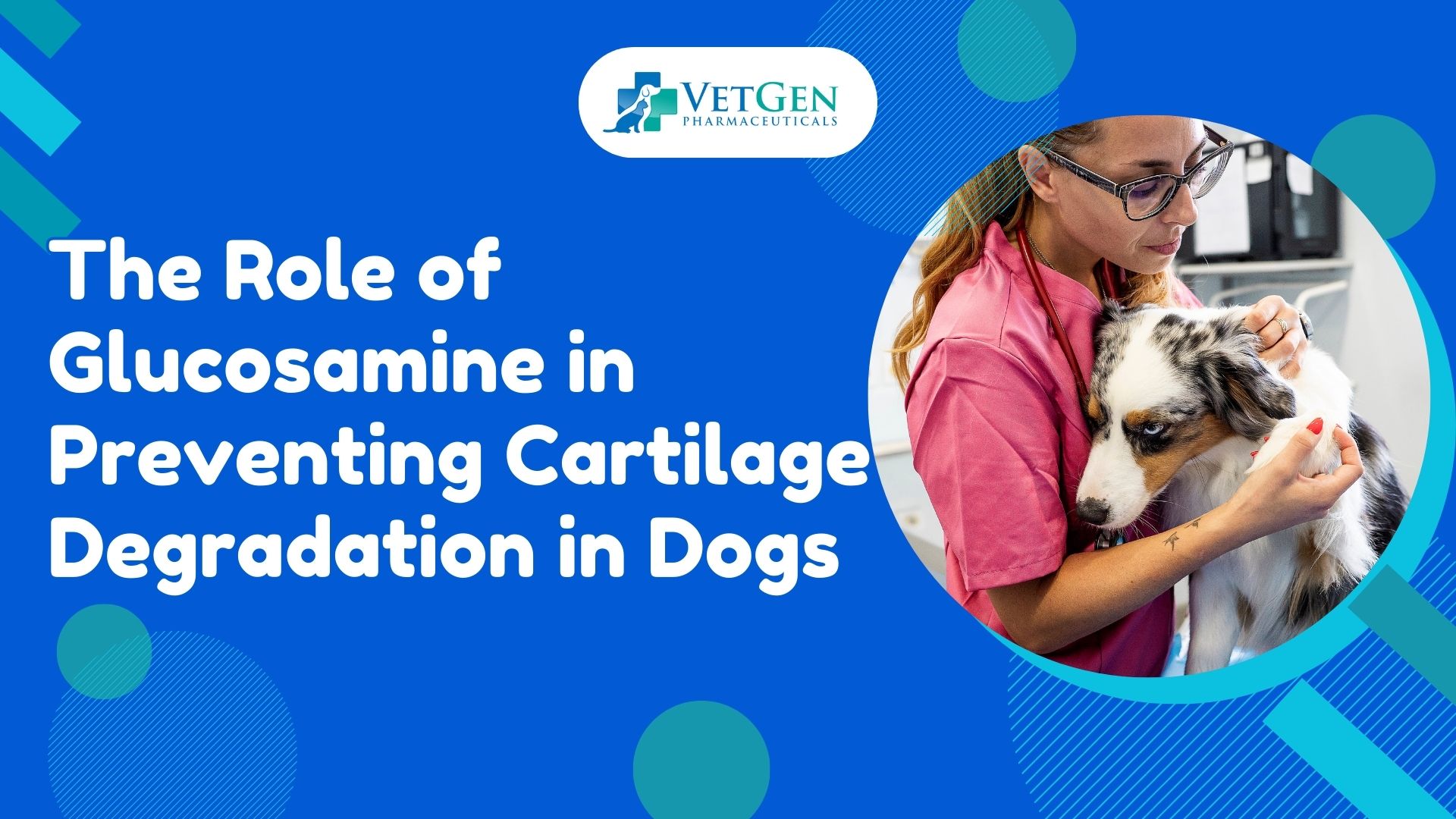 The Role of Glucosamine in Preventing Cartilage Degradation in Dogs