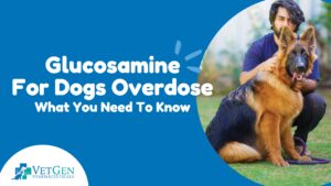 Glucosamine - For Dogs Overdose What You Need To Know