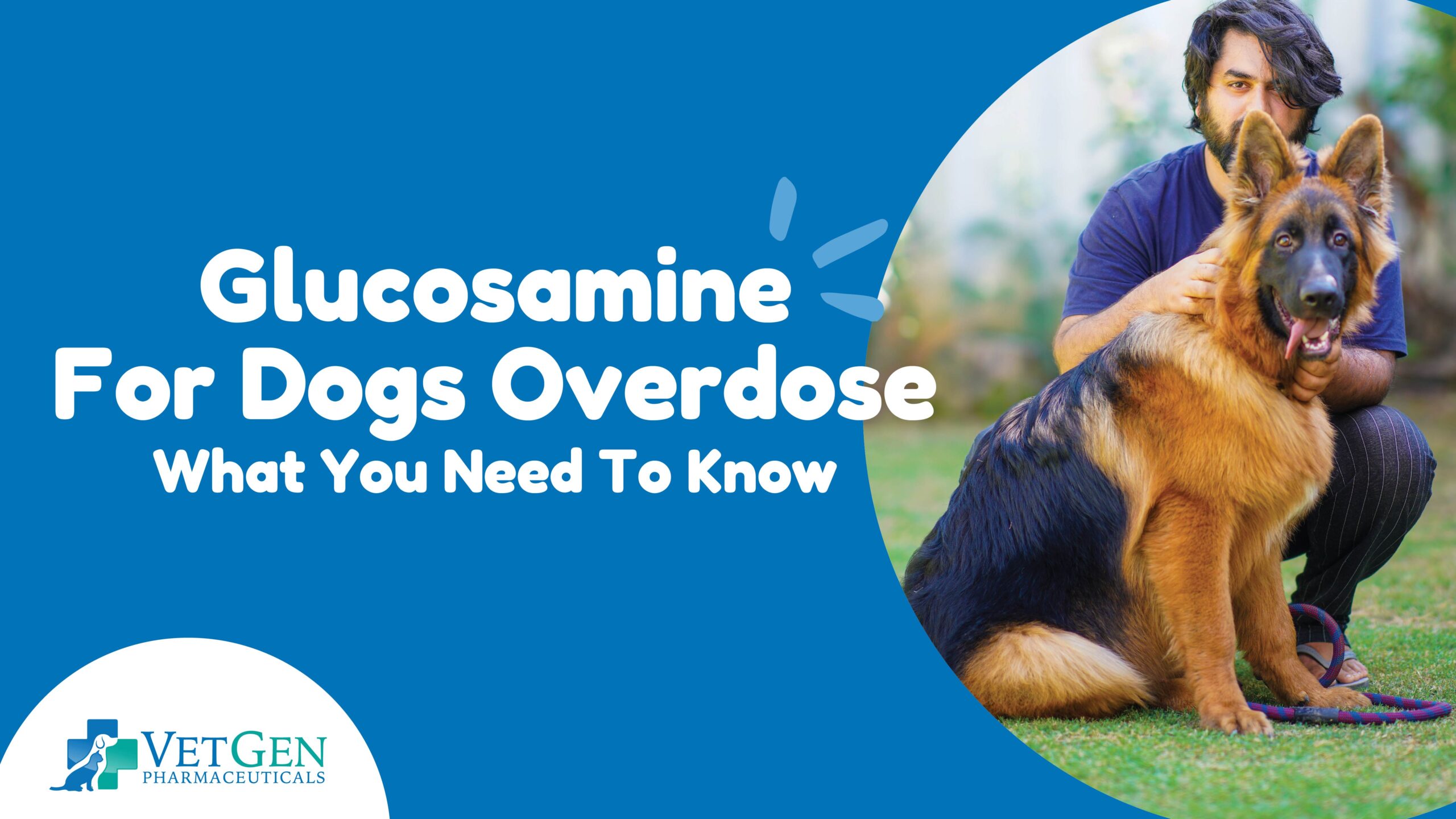 Glucosamine - For Dogs Overdose What You Need To Know
