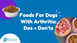Foods For Dogs With Arthritis-Dos + Don'ts
