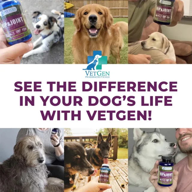 SEE THE DIFFERENCE IN YOUR DOG'S LIFE WITH VETGEN
