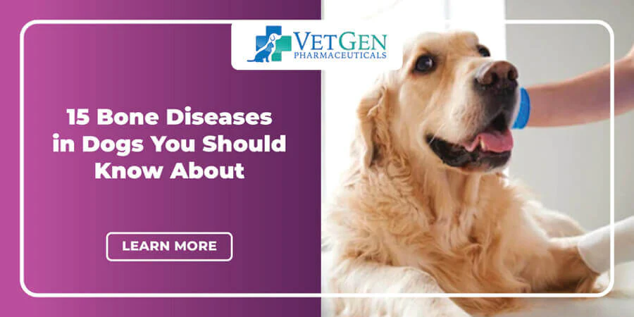 15 Bone Diseases in Dogs You Should Know About