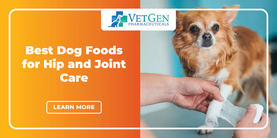 Dog Foods for Hip and Joint Care