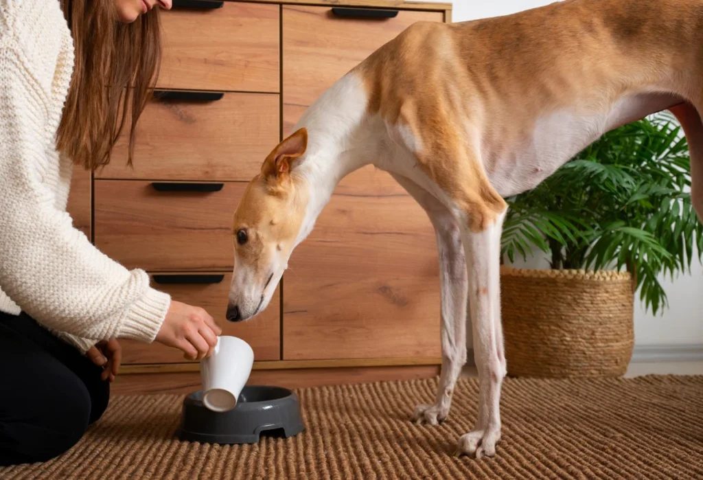 Daily Nutritional Support for dogs