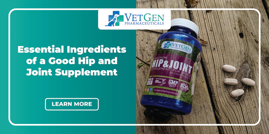 Essential Ingredients of a Good Hip AND Joint Supplement