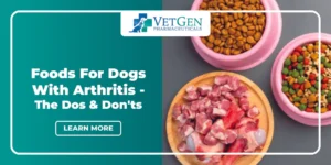 Foods For Dogs With Arthritis - The Dos And Donts