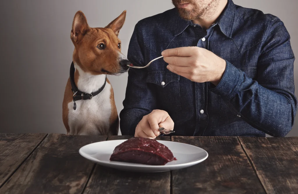 Foods to Avoid for Dogs with Arthritis