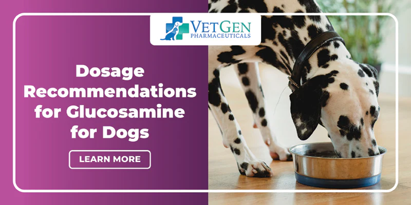 Glucosamine For Dogs - Dosage Recommendations