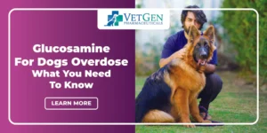 Glucosamine For Dogs Overdose - What You Need To Know