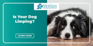 Is Your Dog Limping