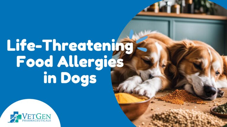 Life-Threatening Food Allergies in Dogs – How to Spot and Prevent