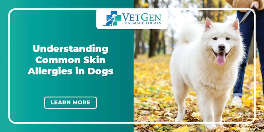 Understanding Common Skin Allergies in Dogs