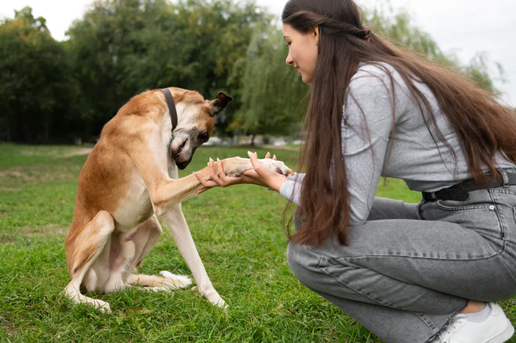 a girl trying Understanding Arthritis in Dogs