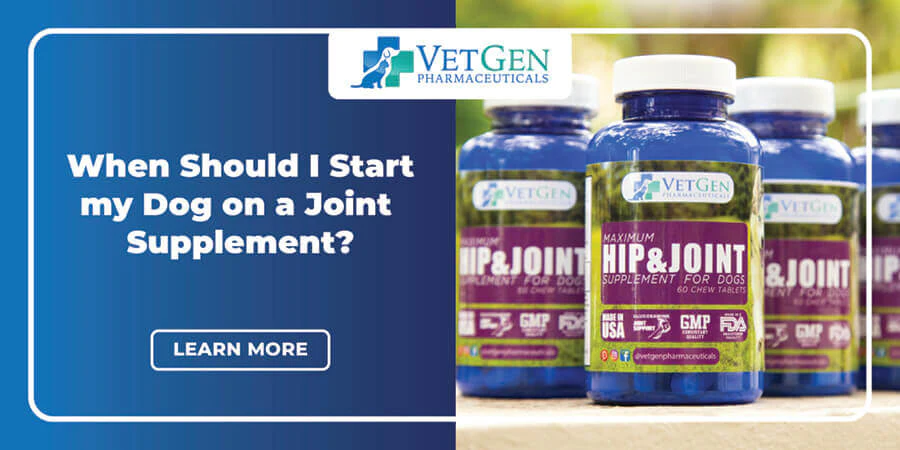 When Should I Start My Dog on a Joint Supplement