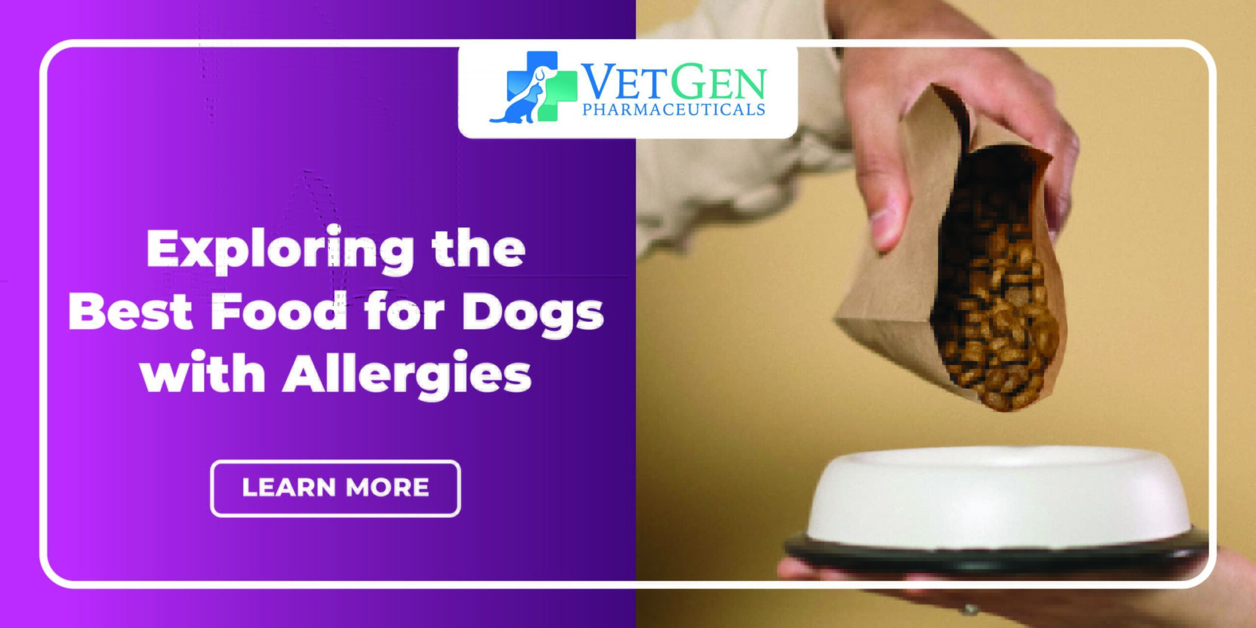 Exploring the Best Foods for Dogs with Allergies