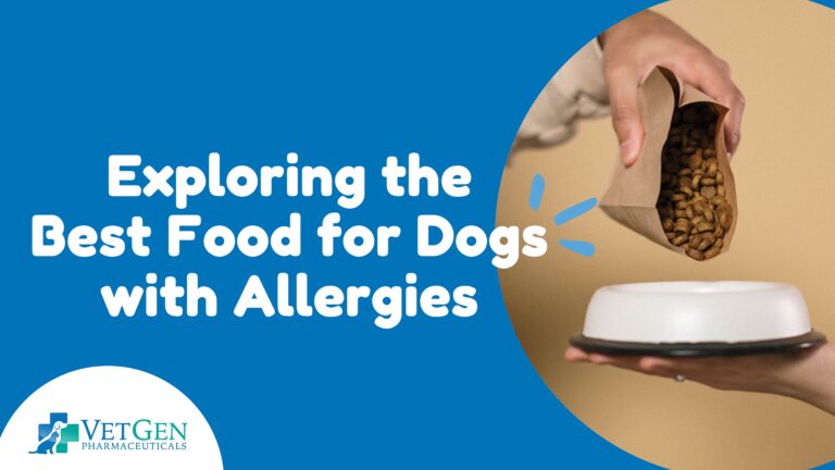 Exploring the Best Foods for Dogs with Allergies