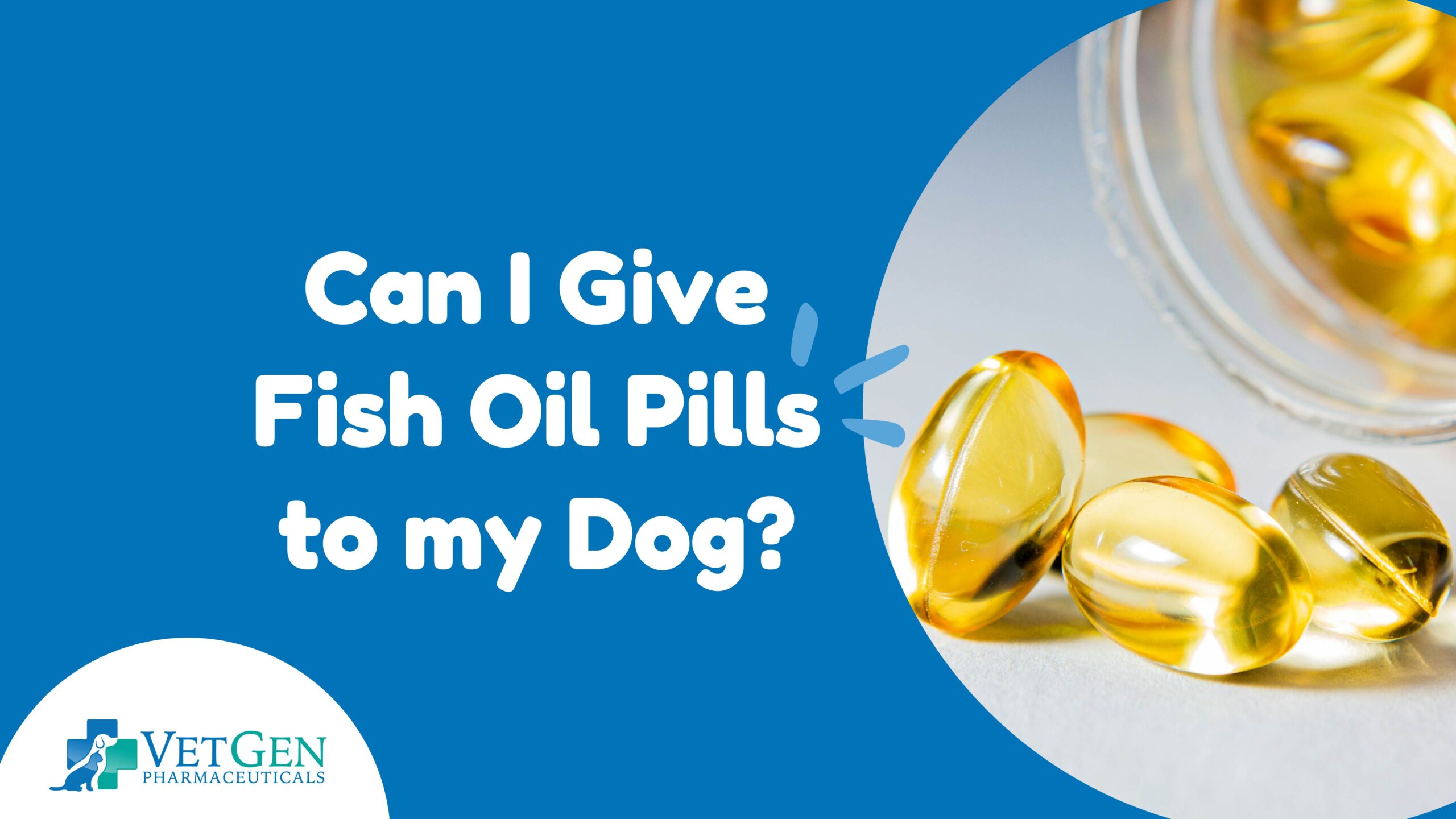 Can I give fish oil pills to my dog