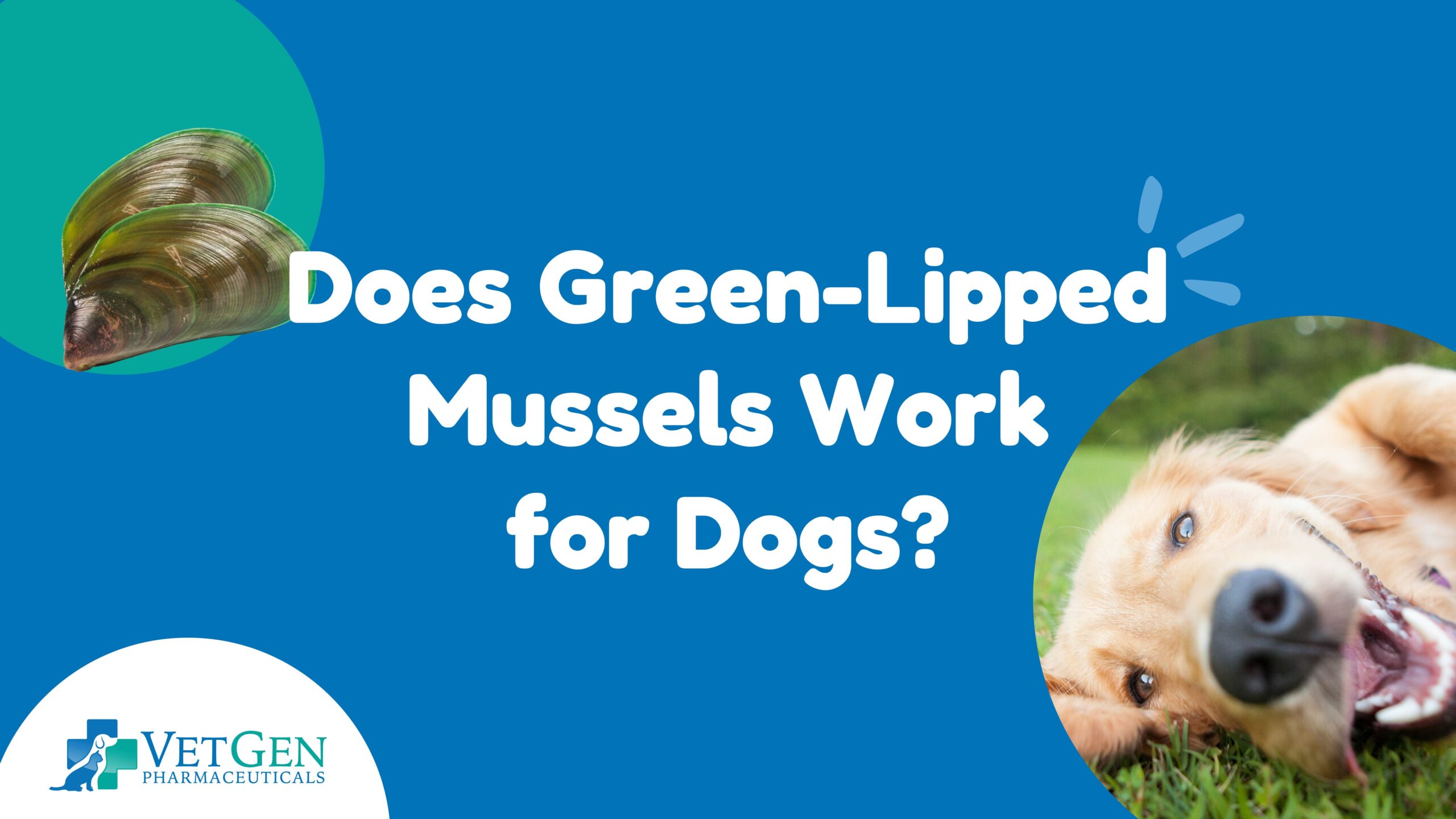 Does green-lipped mussel work for dogs