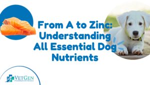 From A to Zinc - Understanding All Essential Dog Nutrients