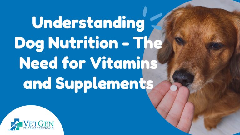 Understanding-Dog Nutrition - The-Need for Vitamins-and Supplements