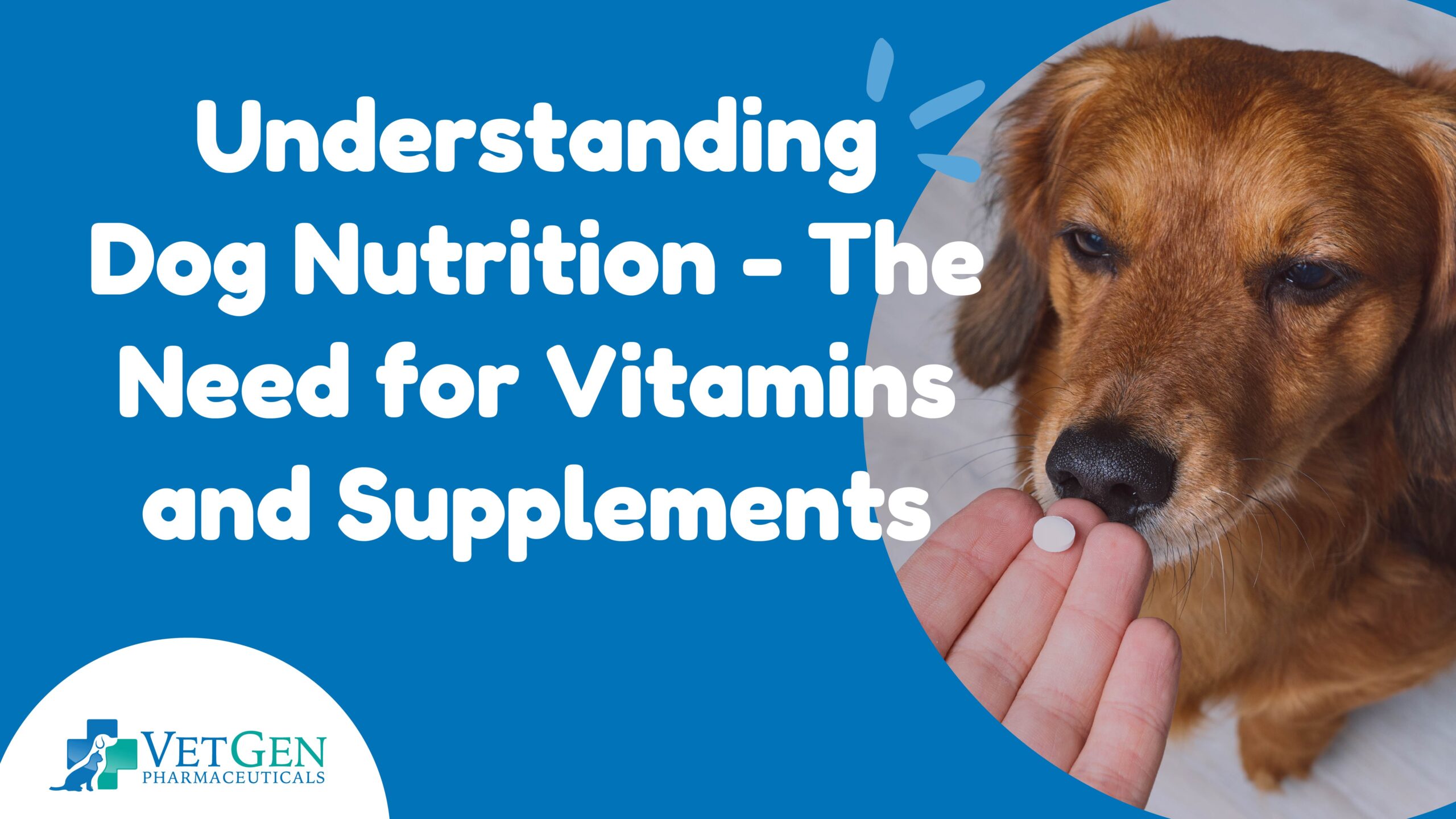 Understanding-Dog Nutrition - The-Need for Vitamins-and Supplements