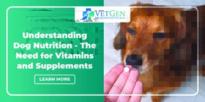 Understanding Dog Nutrition - The Need for Vitamins and Supplements