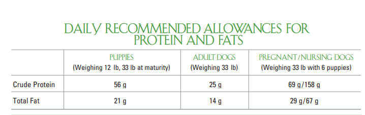 Understanding Dog Nutrition - The Need for Vitamins and Supplements