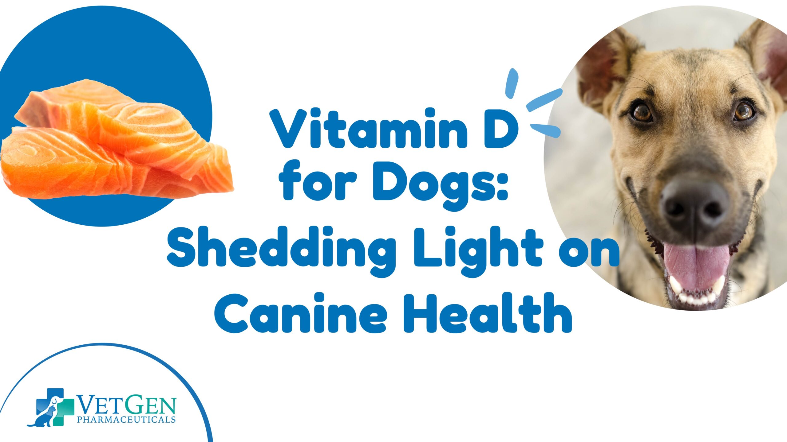 Vitamin D-for Dogs Shedding Light on-Canine Health