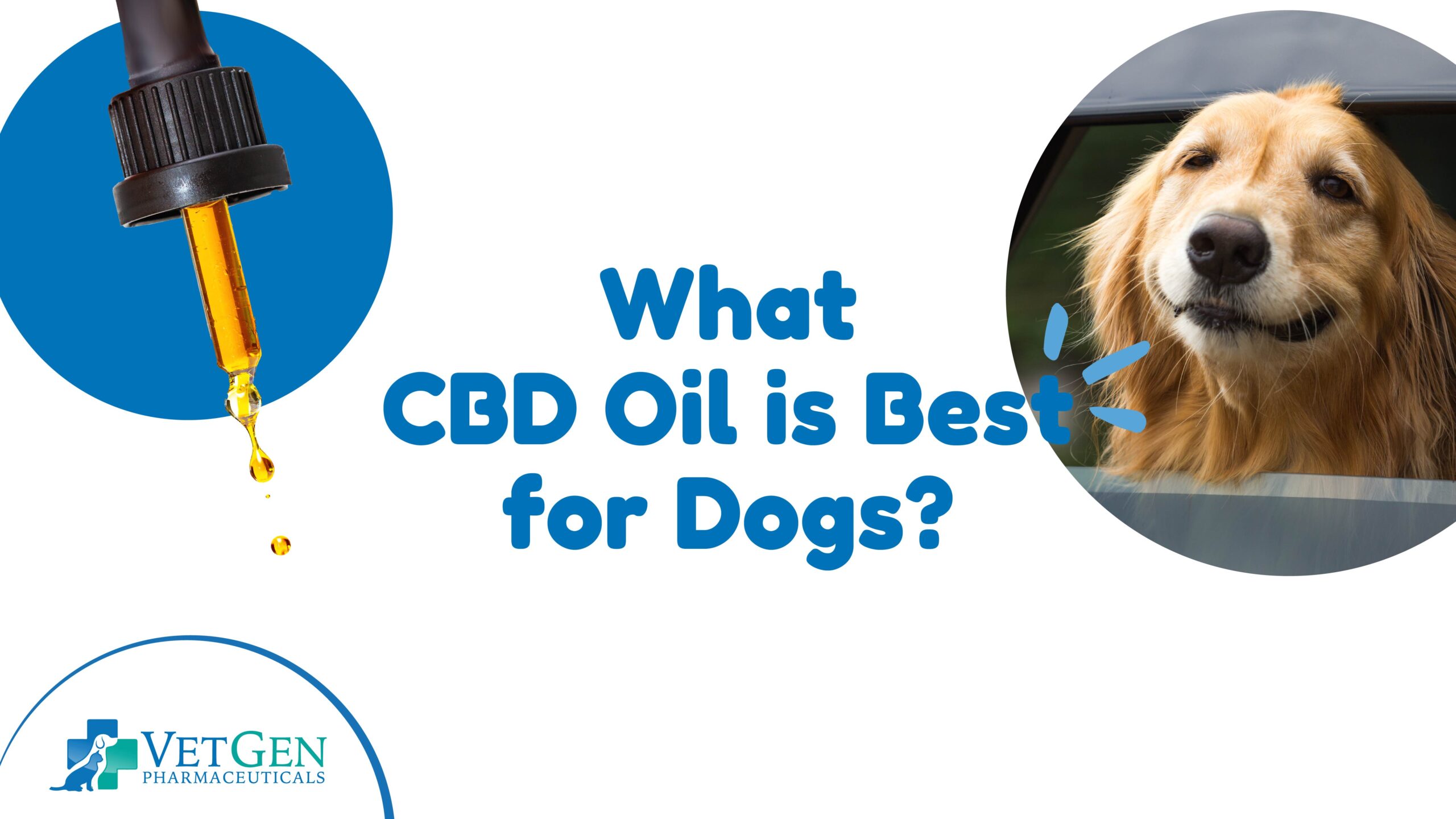 What CBD oil is best for dogs