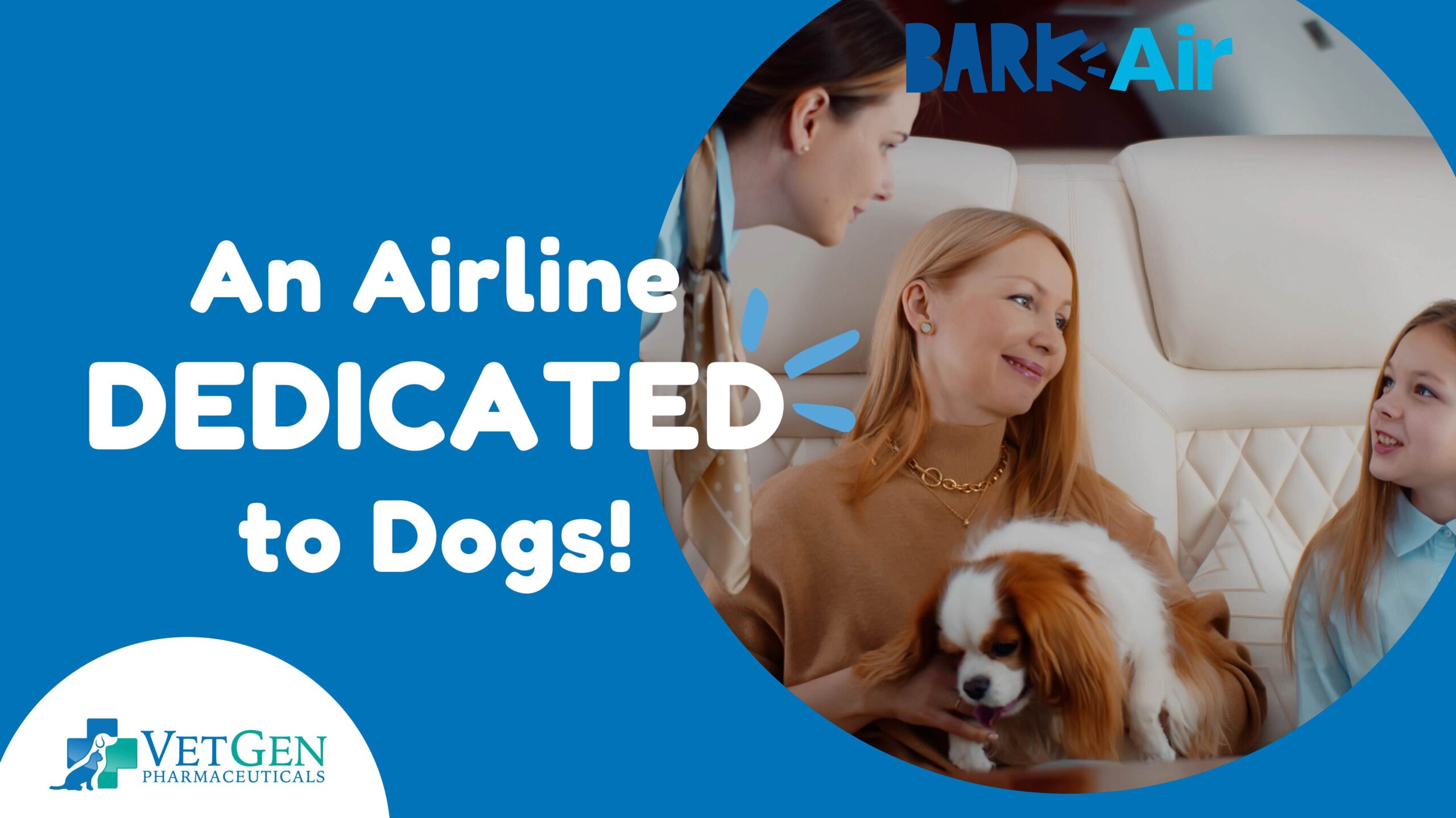 An Airline Dedicated to Dogs