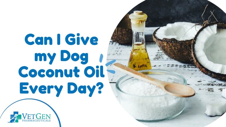 Can I Give My Dog Coconut Oil Every Day