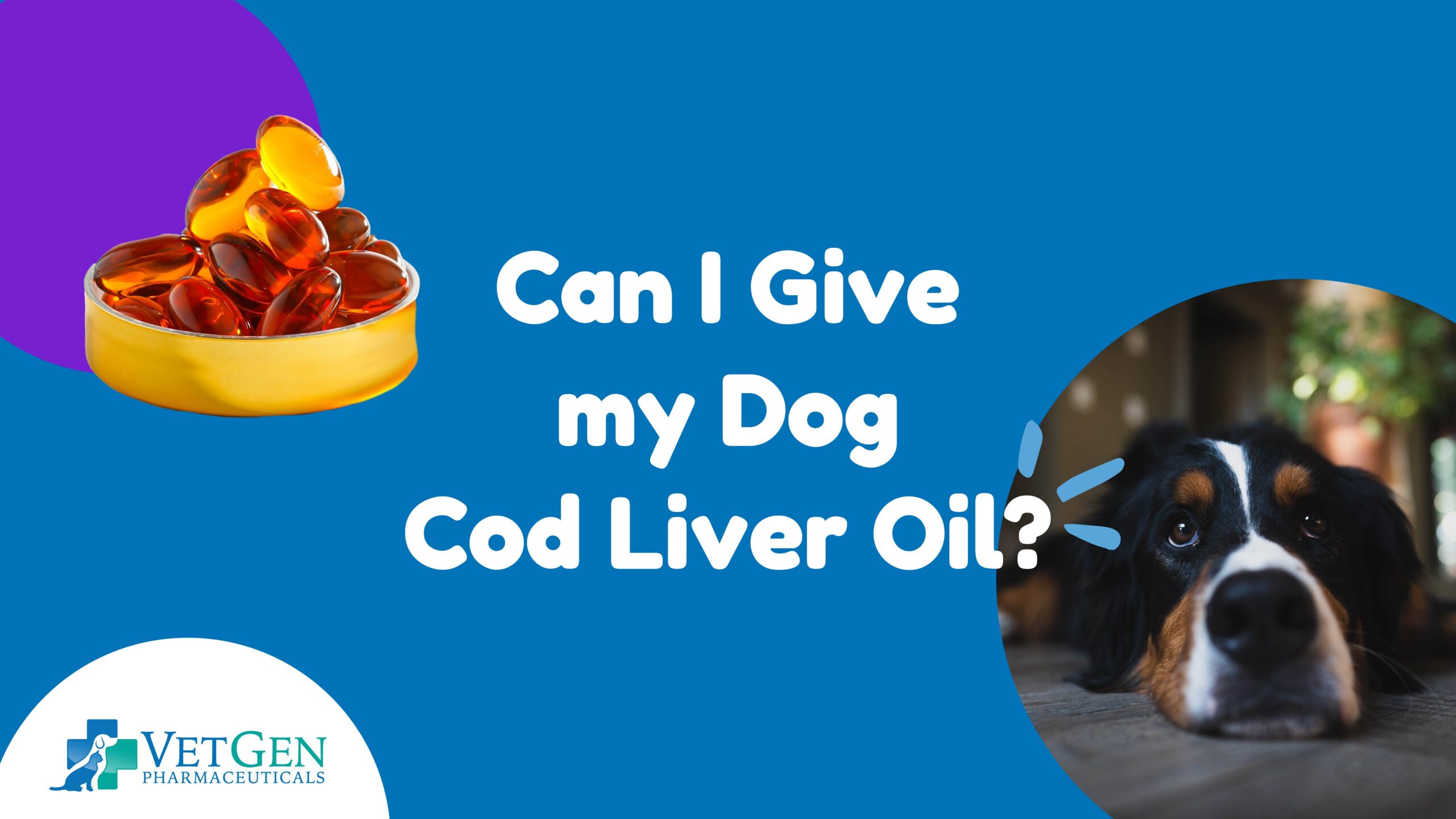 Can I Give My Dog Cod Liver Oil