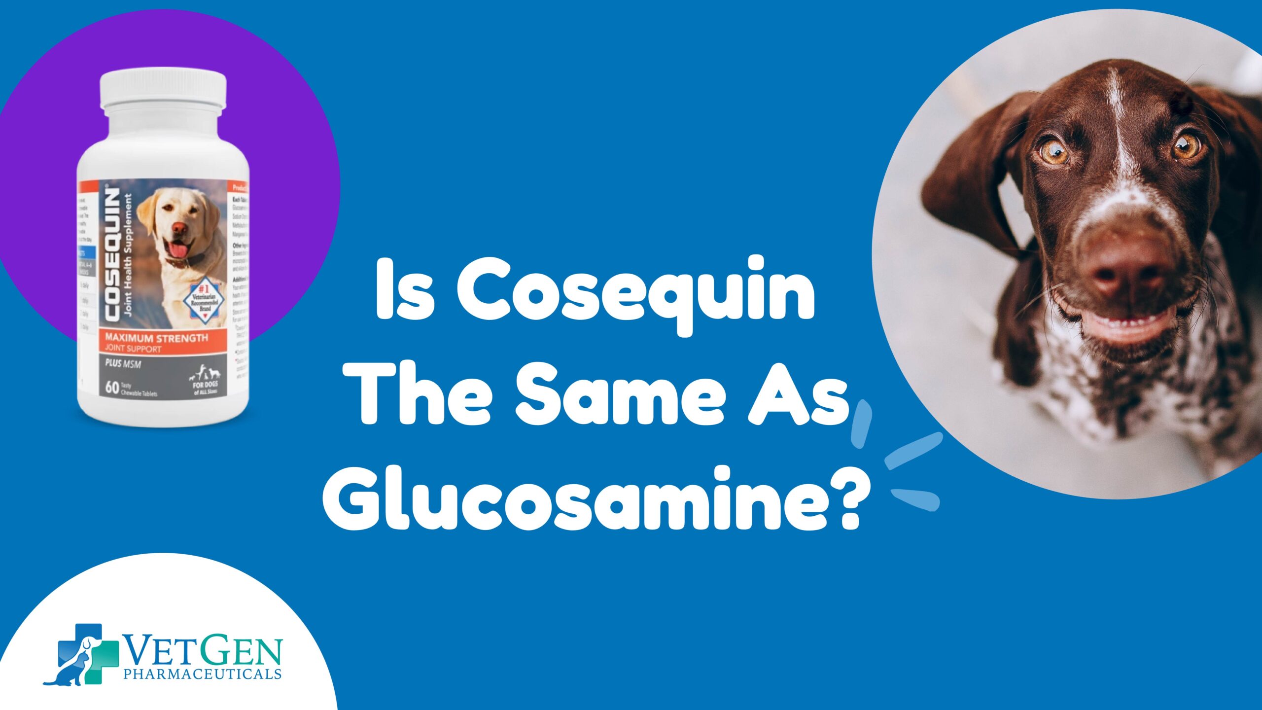 Is Cosequin The Same As Glucosamine?