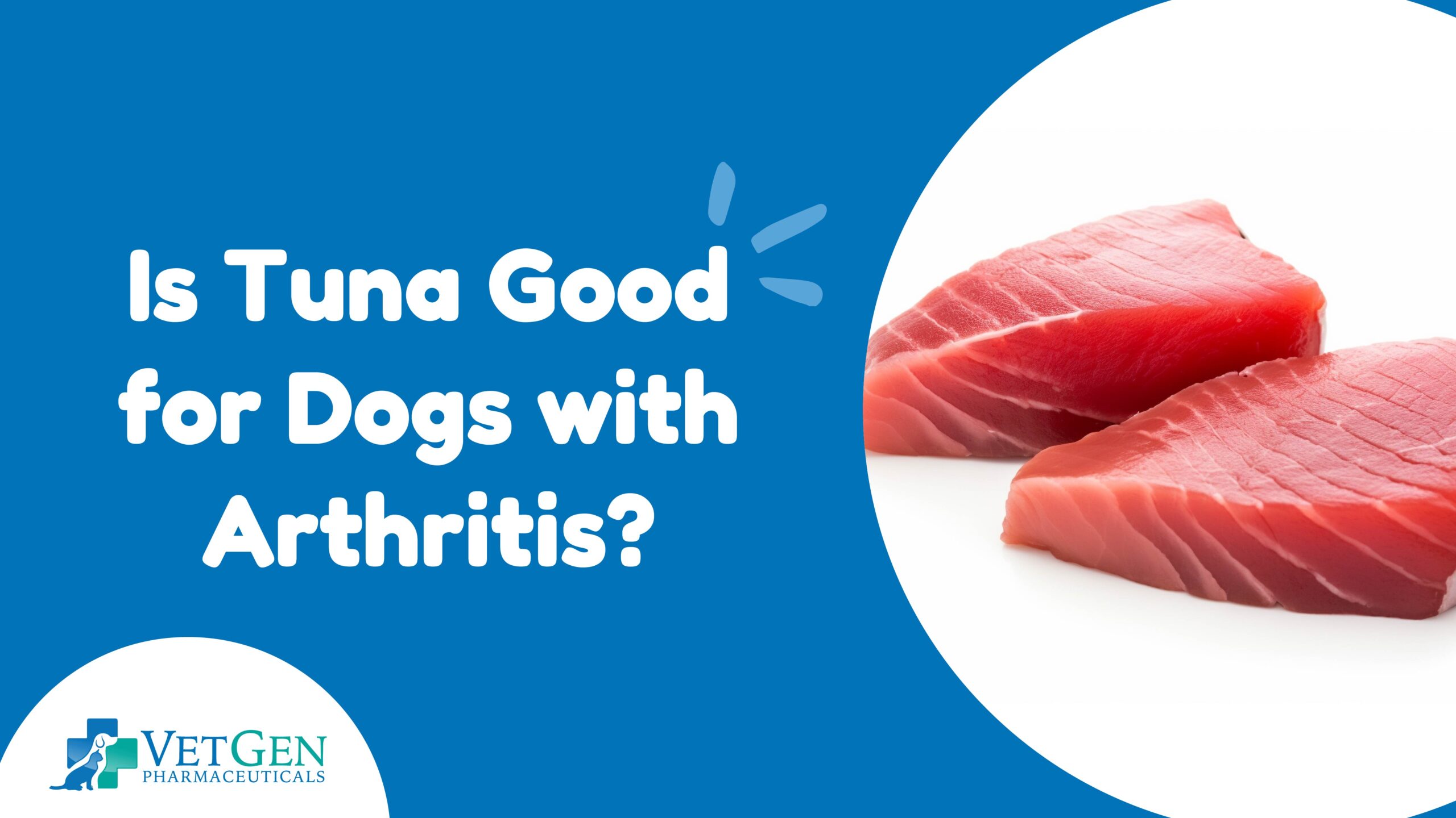 Is Tuna Good For Dogs With Arthritis?