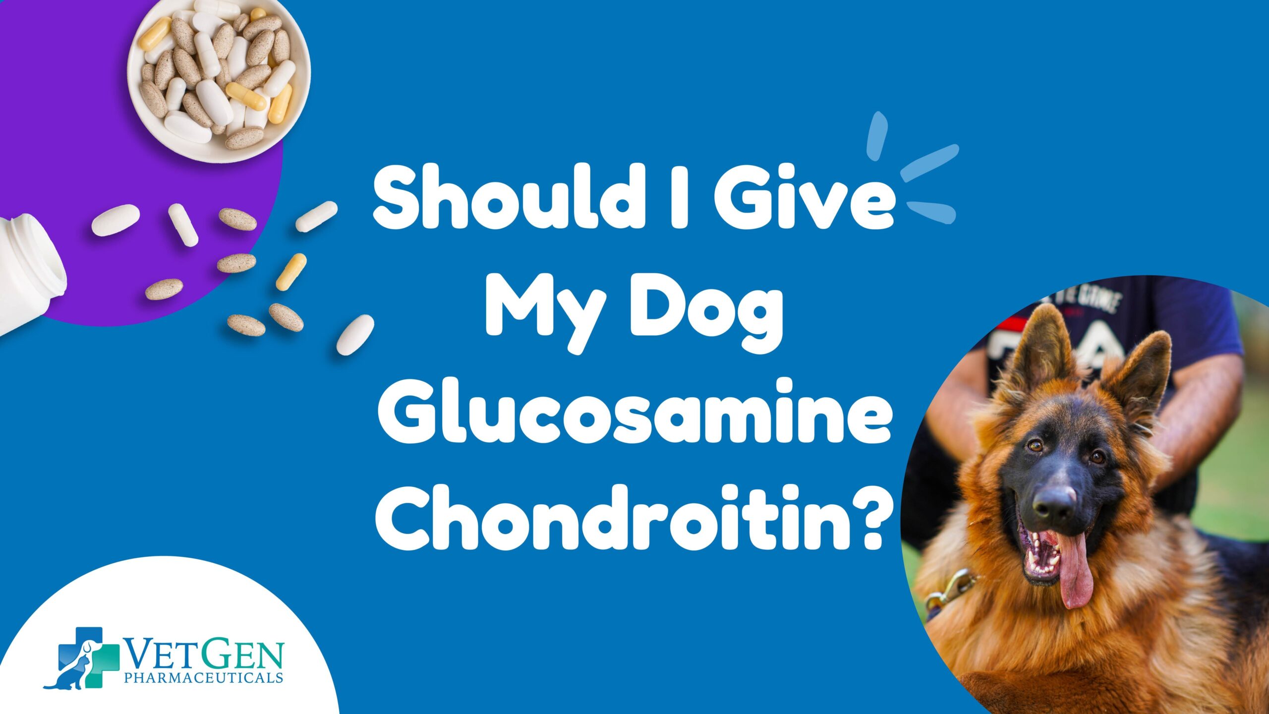 Should I give my dog glucosamine chondroitin